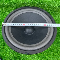 cu-loa-bass-25-4